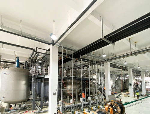 国产NMN“不老药”概念再掀热潮 宁波百吨工厂试产成功，惠及80万人，或成网络游戏开发新蓝海